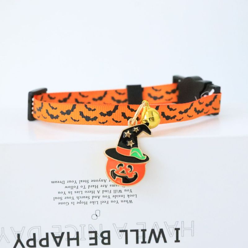 cat collar