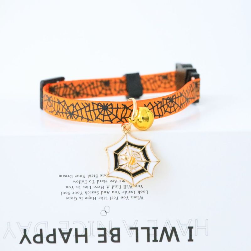 cat collar