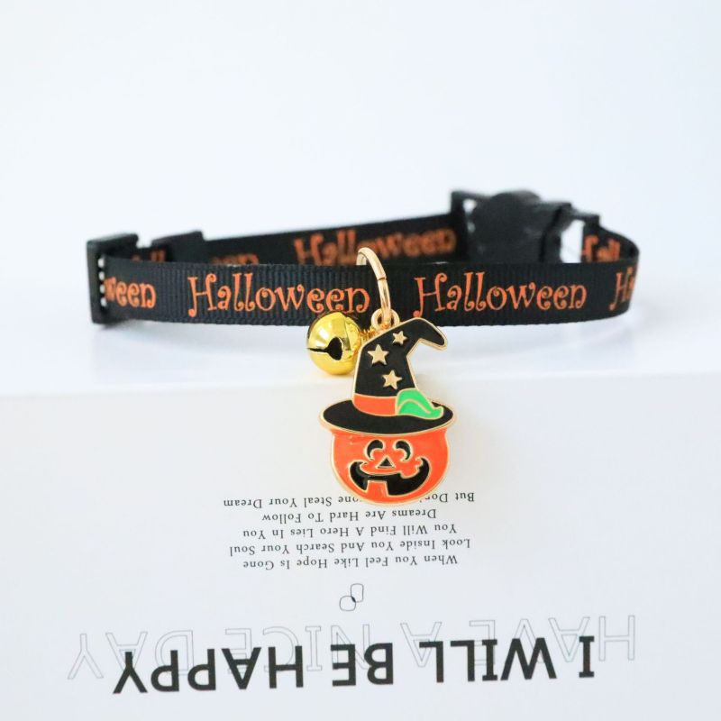 cat collar