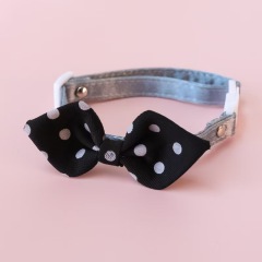 cat collar