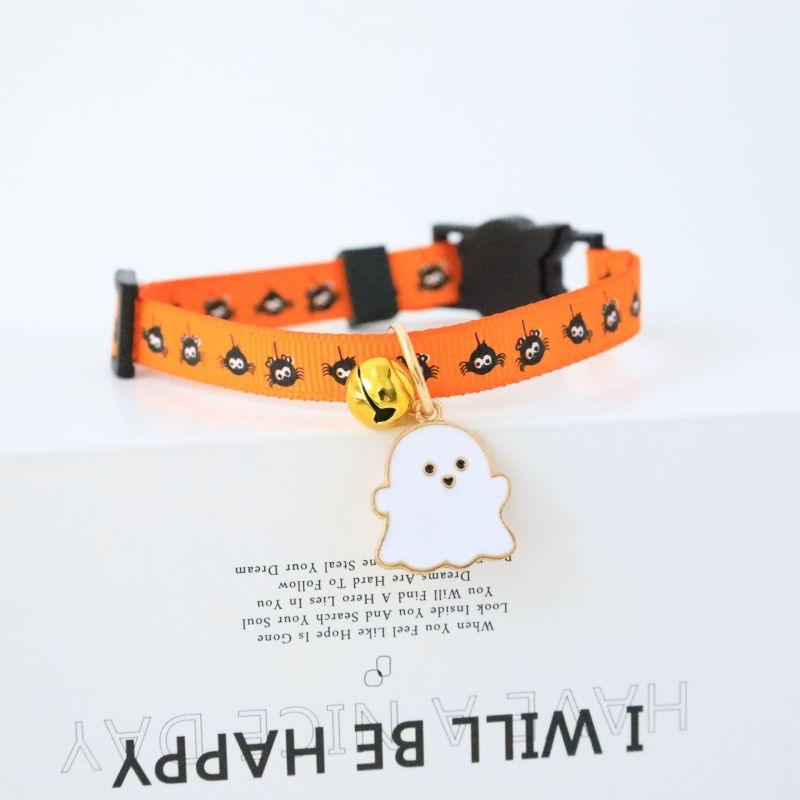 cat collar
