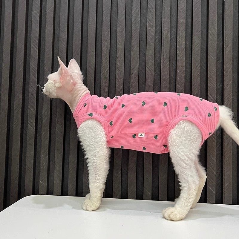 Cat-themed fashion clothing