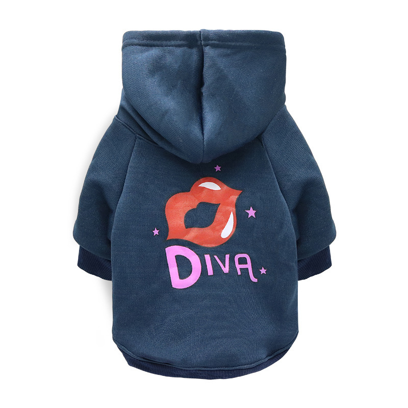 Pet autumn and winter clothes