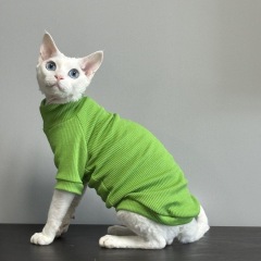 Hairless cat ice silk clothes and air-conditioned clothing