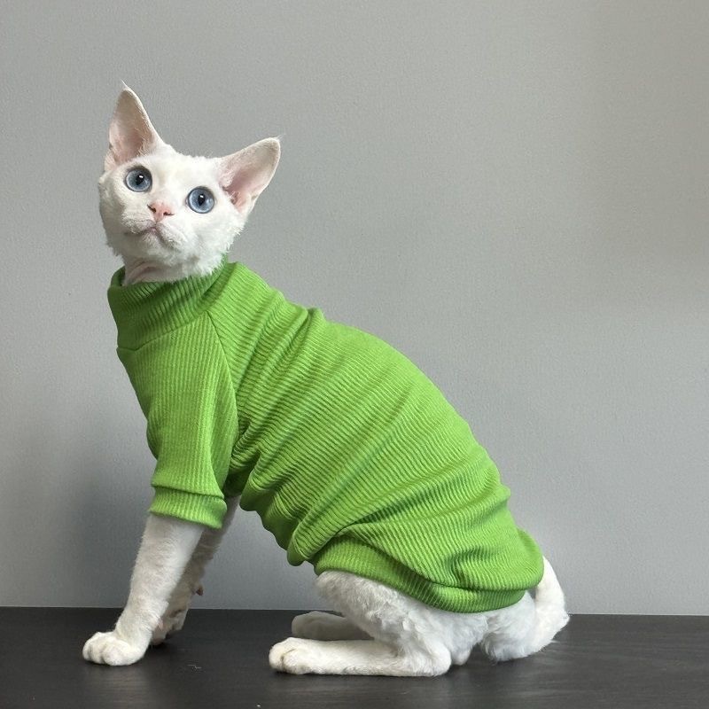 Hairless cat ice silk clothes and air-conditioned clothing