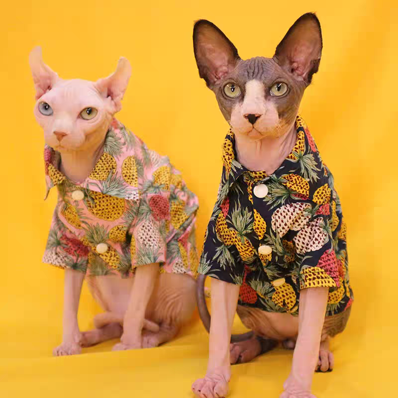 Hairless cat cool shirt
