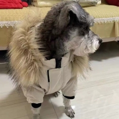 Pet cotton-padded clothes