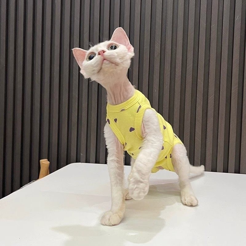 Cat-themed fashion clothing