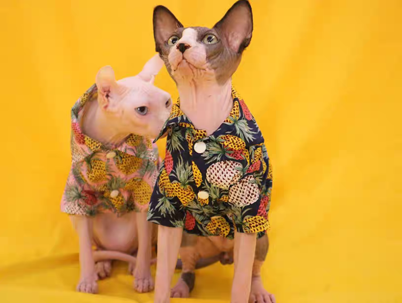 Hairless cat cool shirt