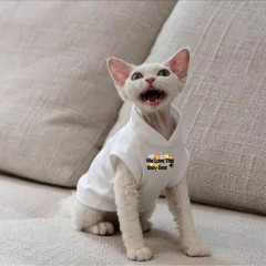 Cat-themed fashion clothing