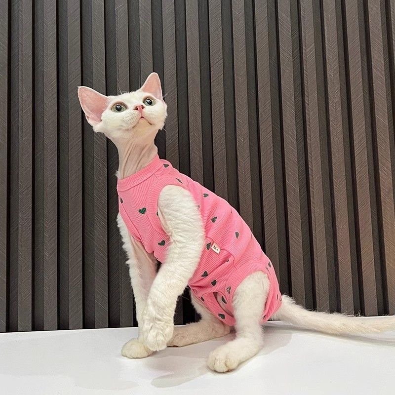 Cat-themed fashion clothing