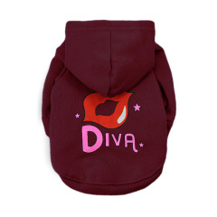 Pet autumn and winter clothes