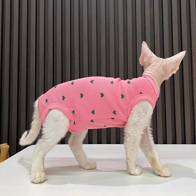 Cat-themed fashion clothing