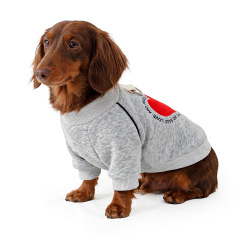Pet Autumn and Winter Base Layer