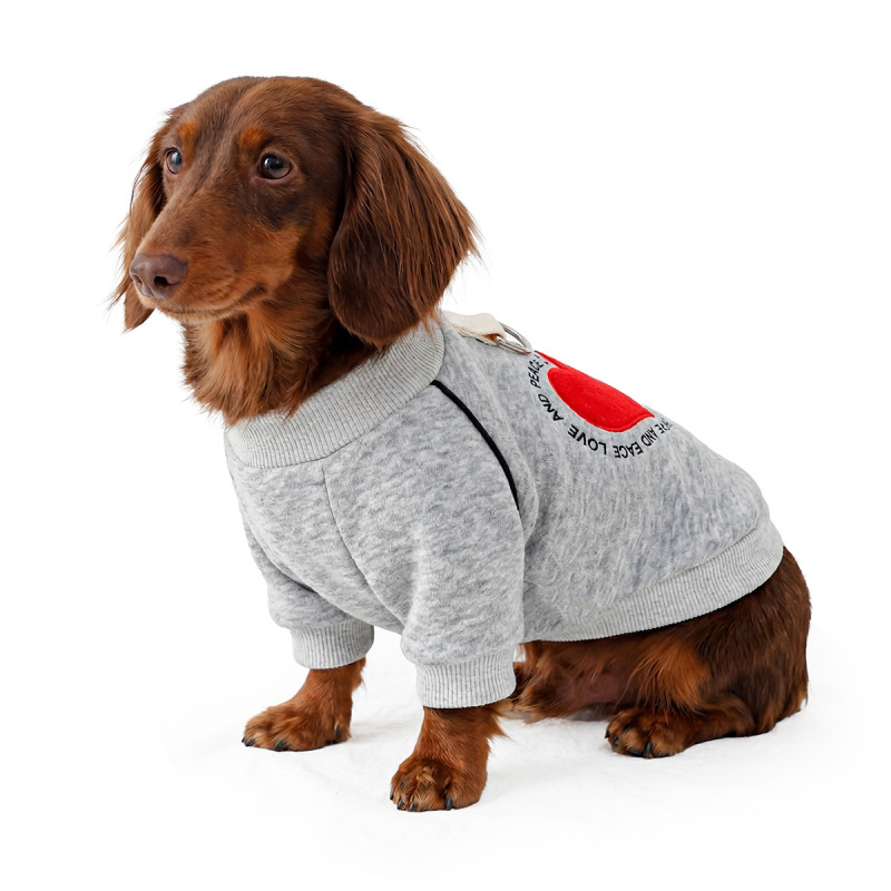 Pet Autumn and Winter Base Layer