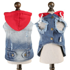 Pet Autumn and Winter Base Layer