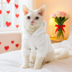 Pet Autumn and Winter Base Layer
