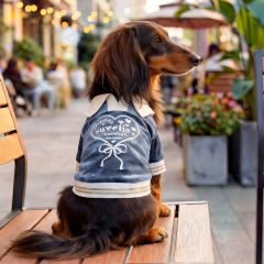 Pet Autumn and Winter Base Layer