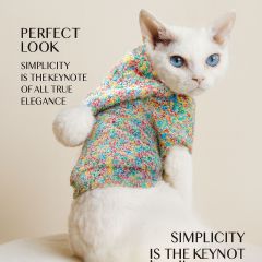 Pet Autumn and Winter Base Layer