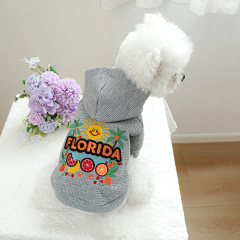 Pet Autumn and Winter Base Layer