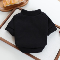 Pet Autumn and Winter Base Layer