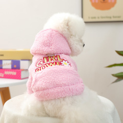 Pet Autumn and Winter Base Layer