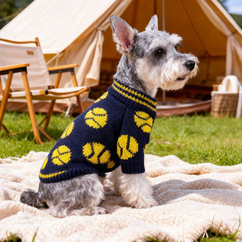 Pet Autumn and Winter Base Layer