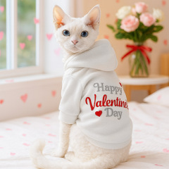 Pet Autumn and Winter Base Layer