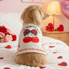 Pet Autumn and Winter Base Layer
