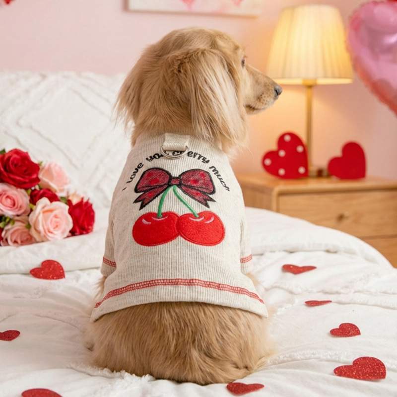 Pet Autumn and Winter Base Layer