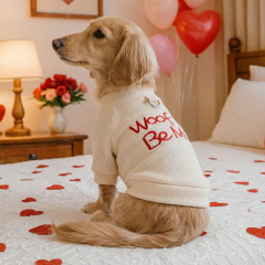 Pet Autumn and Winter Base Layer