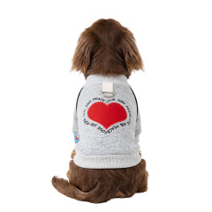 Pet Autumn and Winter Base Layer