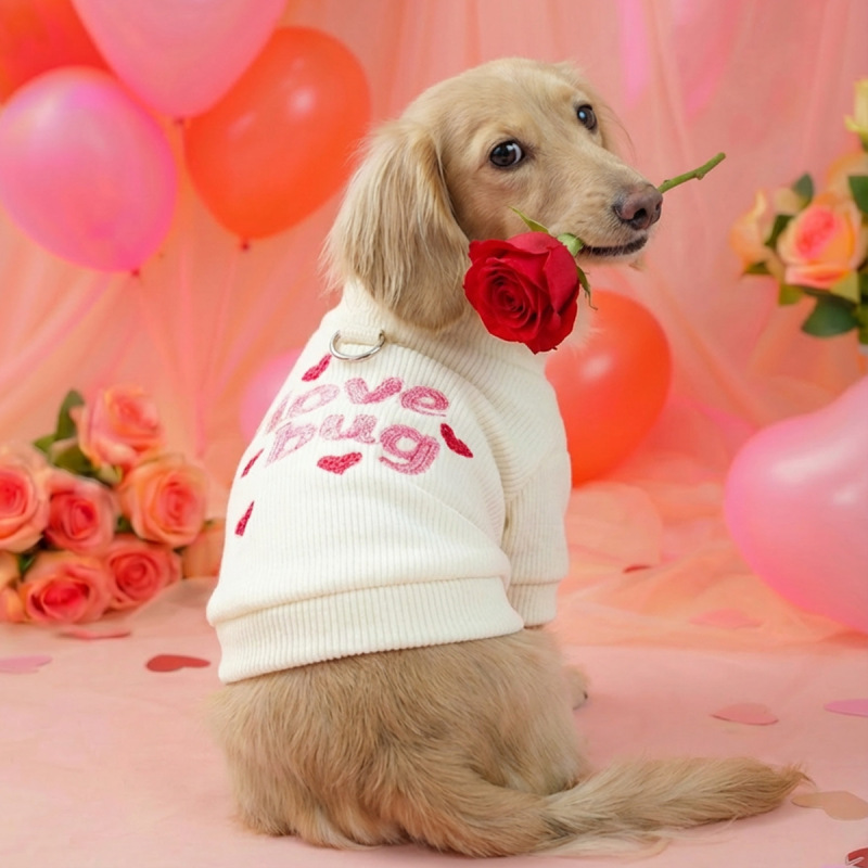 Pet Autumn and Winter Base Layer
