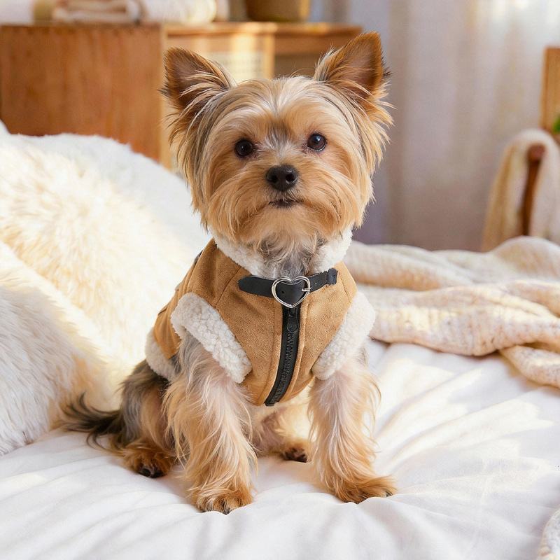 Pet Autumn and Winter Base Layer