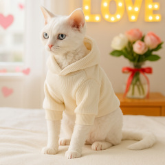 Pet Autumn and Winter Base Layer
