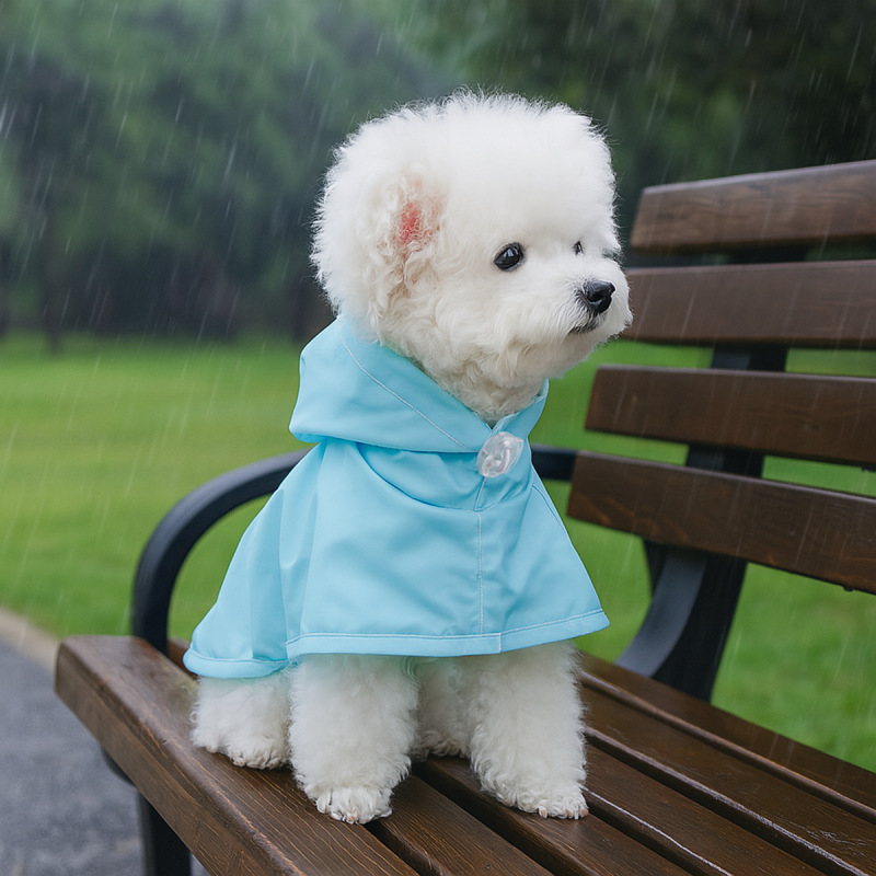 Raincoat for pet cats and small dogs