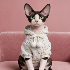 Pet Autumn and Winter Base Layer