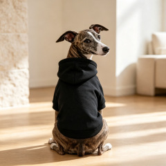 Pet Autumn and Winter Base Layer