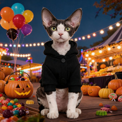 Pet Autumn and Winter Base Layer