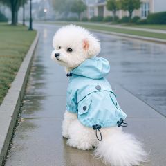 Raincoat for pet cats and small dogs