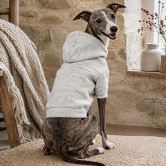Pet Autumn and Winter Base Layer