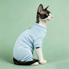 Pet Autumn and Winter Base Layer