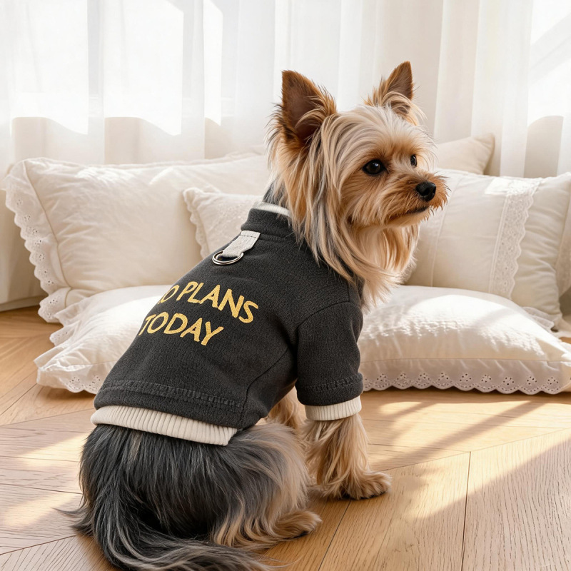 Pet Autumn and Winter Base Layer
