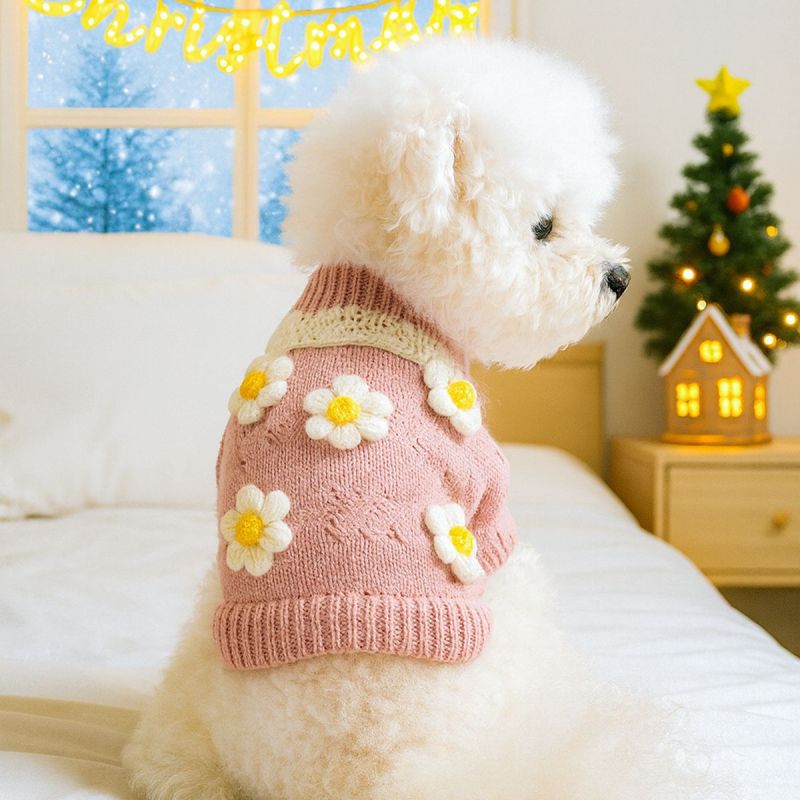 Pet Autumn and Winter Base Layer