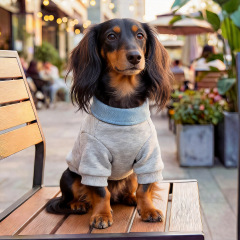 Pet Autumn and Winter Base Layer