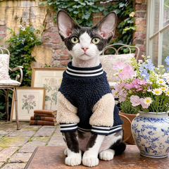 Pet Autumn and Winter Base Layer