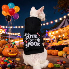 Pet Autumn and Winter Base Layer