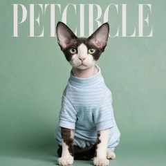 Pet Autumn and Winter Base Layer