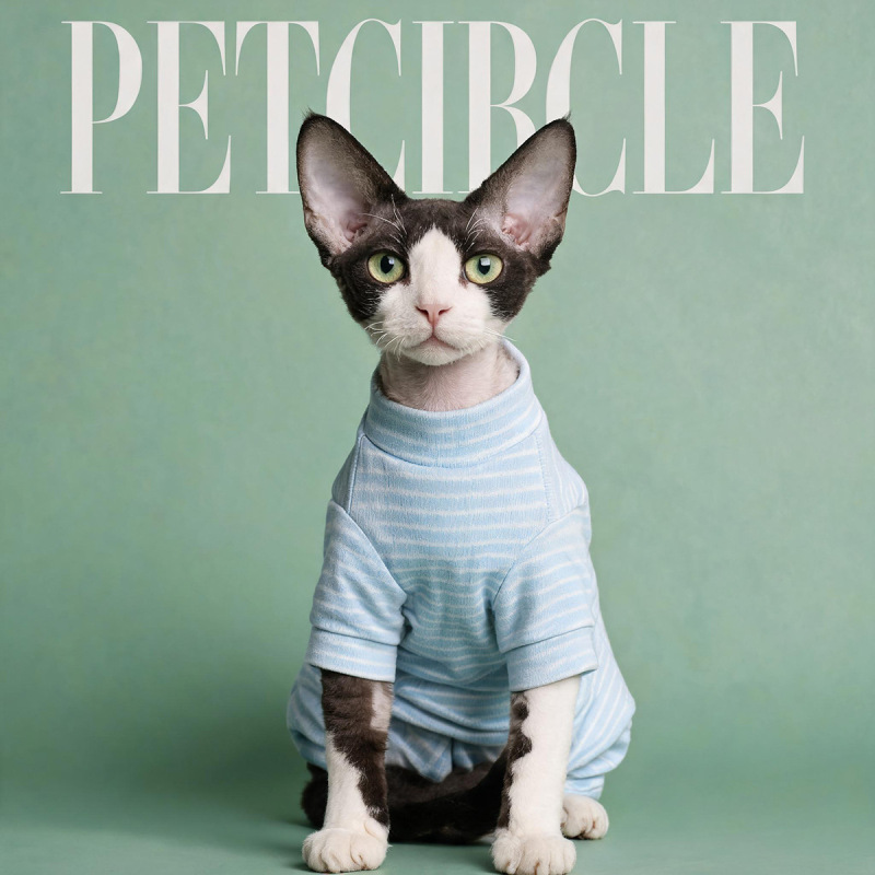 Pet Autumn and Winter Base Layer