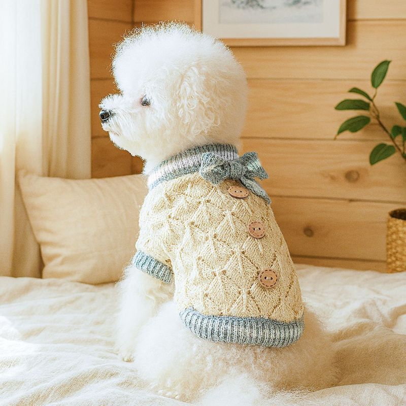 Pet Autumn and Winter Base Layer